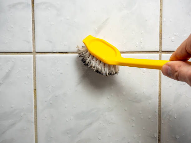 Best Mold Removal Company Near Me  in Sage, CA