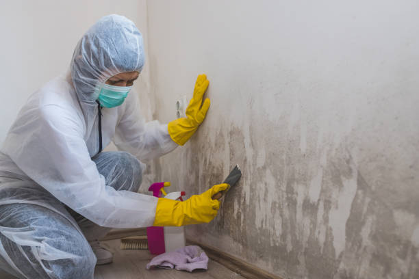 Water Damage Restoration in Sage, CA