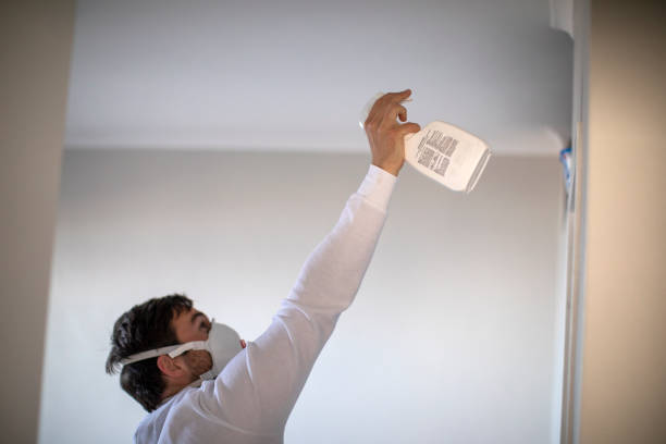 Best Water Damage Restoration  in Sage, CA