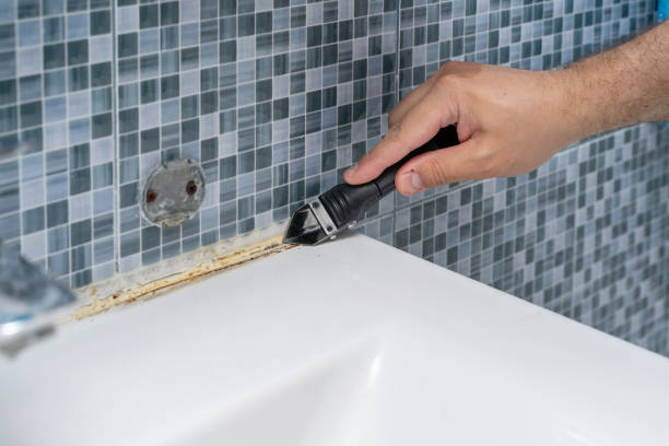 Best Residential Mold Removal  in Sage, CA