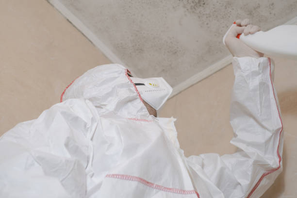 Best Residential Mold Removal  in Sage, CA